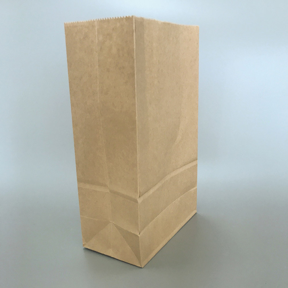 100pcs Kraft Paper Bag Small S - Food With Snacks ulasan dan harga
